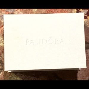 Authentic Pandora cleaning kit